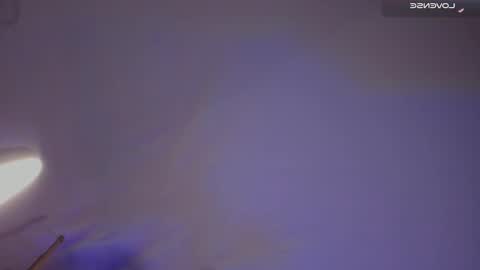 Dan online show from December 21, 6:52 am