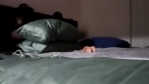 Snapshot of daddy69sx77 chatting on February 6, 4:54 pm Kasey Xdresser online show from February 6, 4:54 pm