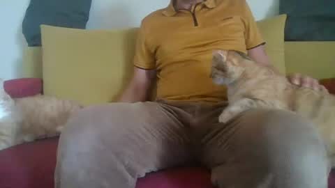 daddycomehome1 online show from June 1, 8:16 am