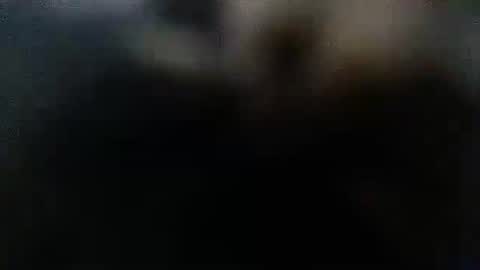 Snapshot of daddydick6969twin77 chatting on October 12, 1:59 am DDick online show from October 12, 1:59 am