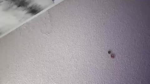 PapiGuerodaddysgirl online show from April 4, 6:00 am