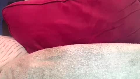 daddyy008 online show from September 10, 9:48 pm