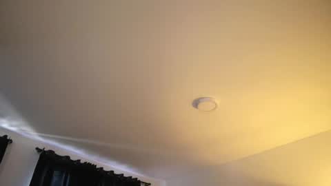 Lauren            online show from November 24, 2:50 pm