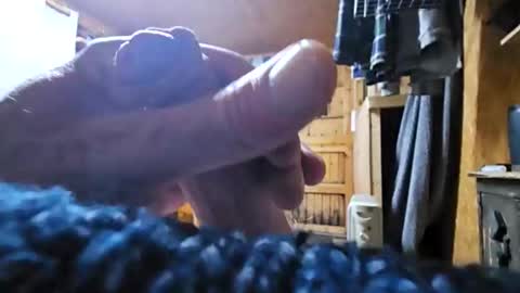 dave online show from October 24, 8:49 pm