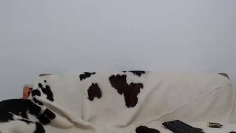 dan_jonson15 online show from November 26, 6:31 pm