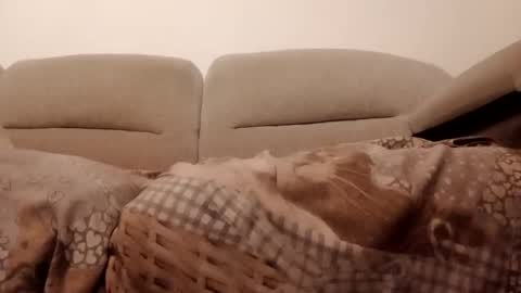 Snapshot of dani225812 chatting on November 15, 7:21 pm Dani225812 online show from November 15, 7:21 pm