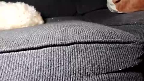 daniel_k69 online show from February 19, 2:23 pm