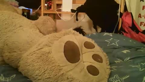 DANIELA online show from March 17, 2:42 pm