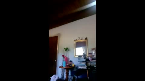 Snapshot of danielledelrey chatting on February 3, 12:21 pm danielledelrey online show from February 3, 12:21 pm