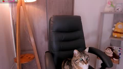 Danielle Rose online show from November 2, 8:22 pm