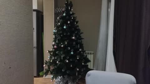 danila online show from January 18, 5:06 pm