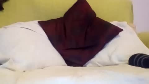 Snapshot of daniroca8 chatting on February 17, 6:36 pm daniroca8 online show from February 17, 6:36 pm