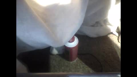 TheDude online show from December 19, 3:57 am