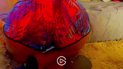 Snapshot of dankshepp chatting on January 26, 8:45 pm dandeb online show from January 26, 8:45 pm