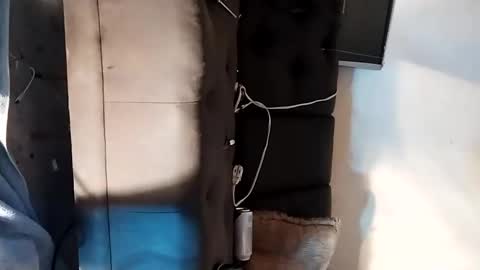 Snapshot of dankshepp chatting on September 15, 6:19 pm dandeb online show from September 15, 6:19 pm