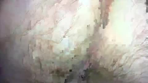 dankz4two0 online show from December 21, 1:32 pm