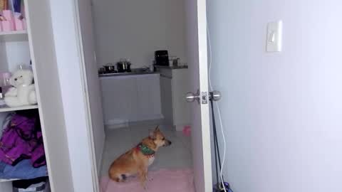 Danna Rhodes online show from November 30, 6:17 am