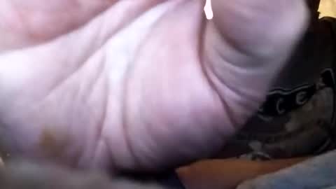 Snapshot of dannowisc chatting on February 1, 12:37 pm dannowisc online show from February 1, 12:37 pm