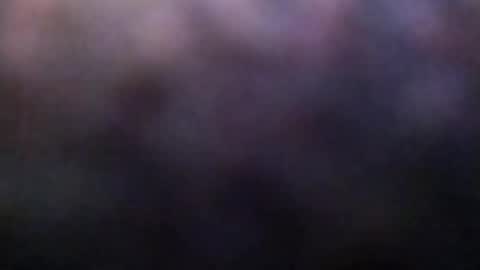 Snapshot of dannowisc chatting on February 23, 2:20 am dannowisc online show from February 23, 2:20 am