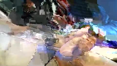 dannytabb1 online show from November 11, 5:40 am