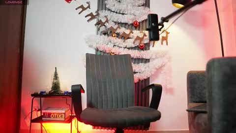 SEBAS online show from December 17, 2:39 am