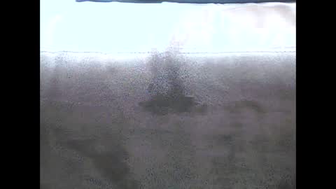 Snapshot of danyvdh chatting on December 13, 8:51 am danyvdh online show from December 13, 8:51 am