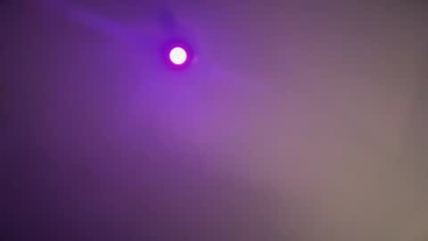 daquim online show from November 12, 11:14 pm