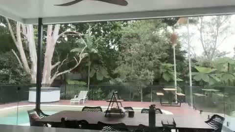 Snapshot of dartanian0001 chatting on September 18, 8:55 pm dartanian0001 online show from September 18, 8:55 pm