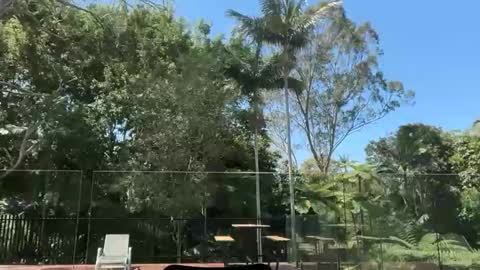 Snapshot of dartanian0001 chatting on September 30, 2:05 am dartanian0001 online show from September 30, 2:05 am