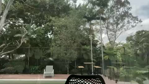 Snapshot of dartanian0001 chatting on October 1, 12:38 am dartanian0001 online show from October 1, 12:38 am