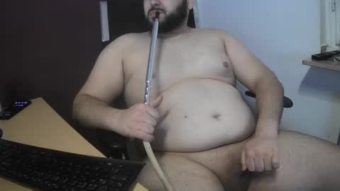 dauergeiil online show from February 3, 3:17 pm