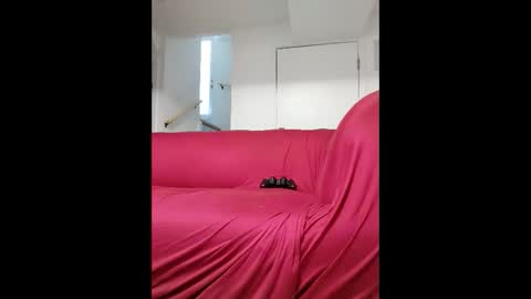 dave3891 online show from February 13, 1:18 pm