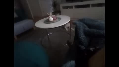 Snapshot of davf76 chatting on February 19, 8:10 am davf76 online show from February 19, 8:10 am