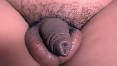 david_hotters online show from October 2, 1:51 pm