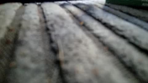 davros8621 online show from November 2, 1:13 pm