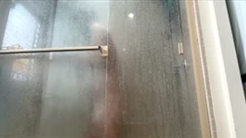 dayblue online show from February 7, 8:01 pm