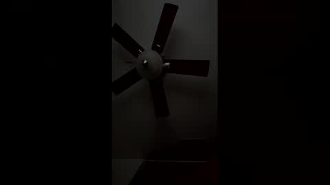 dayday724770 online show from April 4, 7:00 pm