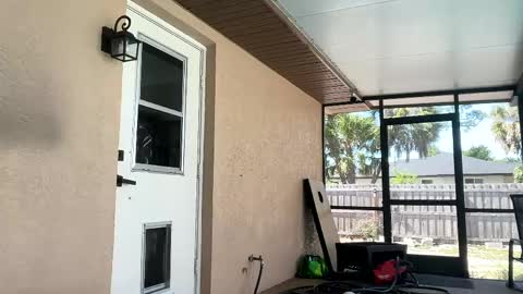 Dazey online show from April 21, 8:23 pm