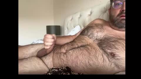 db197860693 online show from October 9, 11:08 am