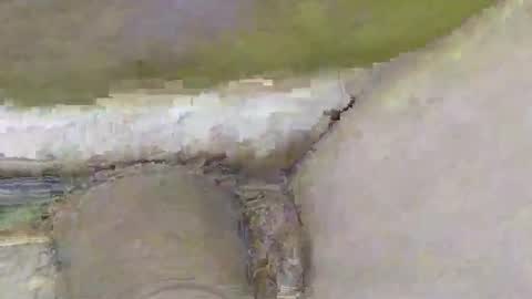 Dive Deep online show from November 2, 2:08 pm