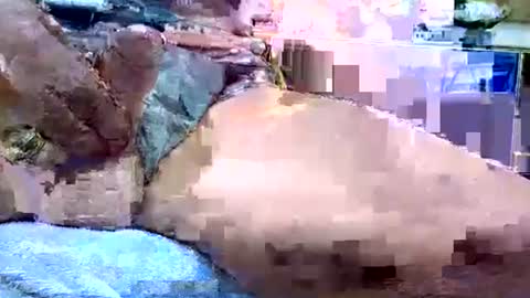 Dive Deep online show from January 19, 12:14 am