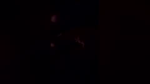 deerpark9 online show from April 19, 3:06 am