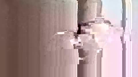 Snapshot of deezy305 chatting on May 31, 4:14 pm deezy305 online show from May 31, 4:14 pm