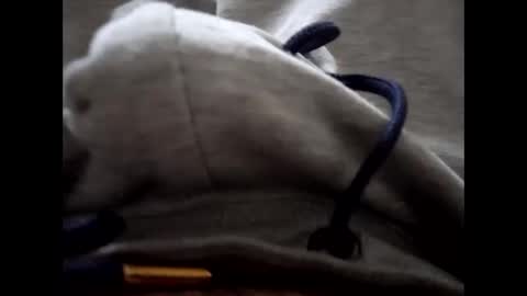 deliv_shopi online show from January 15, 3:05 pm