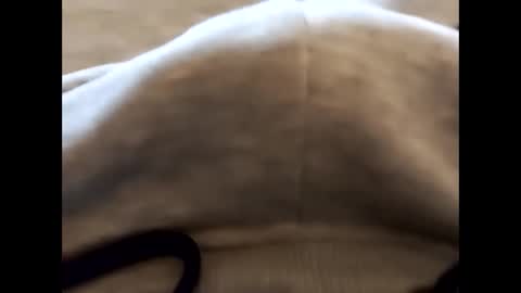 deliv_shopi online show from February 22, 2:48 pm