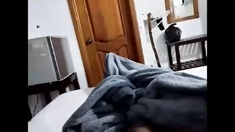 denier online show from December 15, 5:01 am