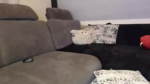 Denise and Brad online show from November 12, 5:13 pm