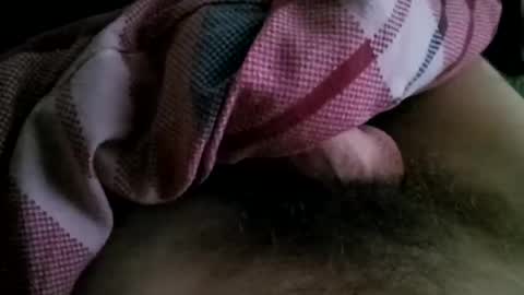 der_wanderer12 online show from November 8, 11:32 am