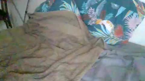 dexterwatchme online show from January 15, 11:15 am