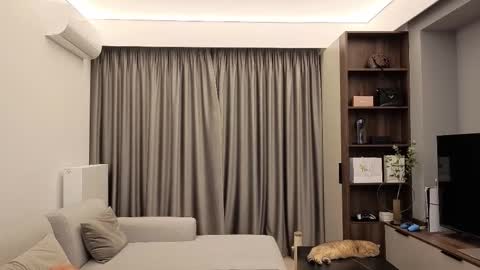 Iris online show from December 13, 9:09 pm